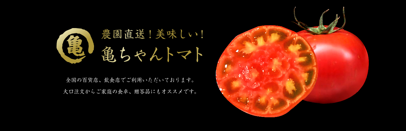 Kame-chan Tomato Proposal