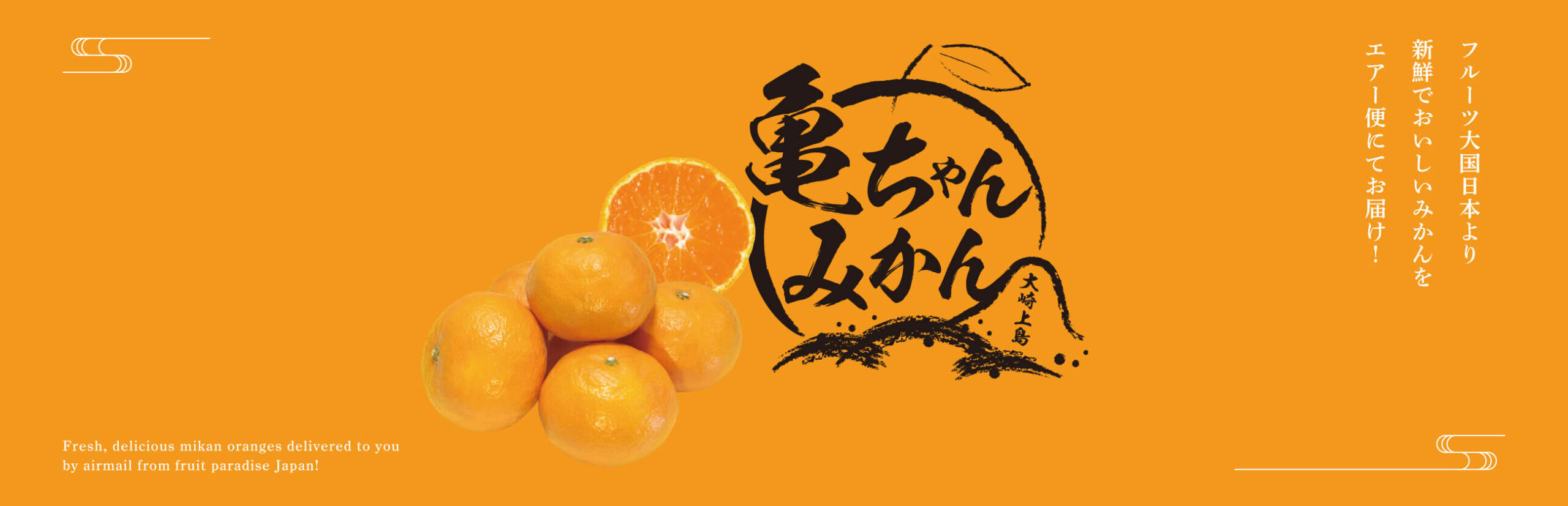 Kame-chan Mikan Oranges